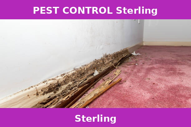 PEST CONTROL Sterling